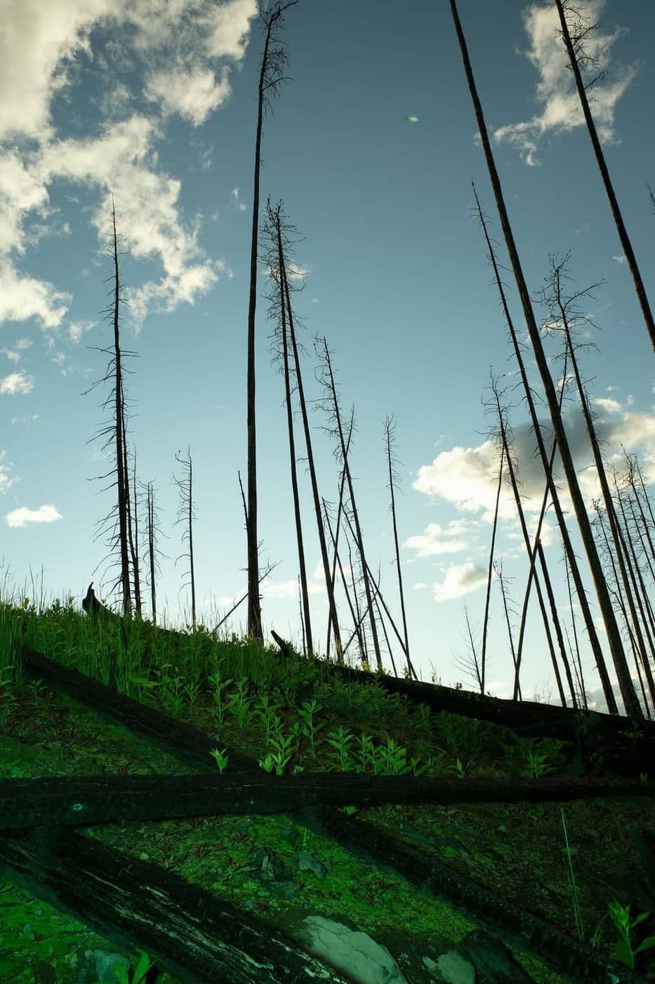 Vincent Karcher - Photo 3