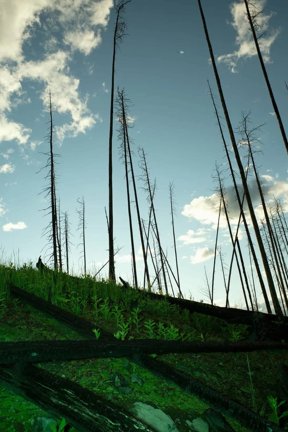 Vincent Karcher - Photo 3