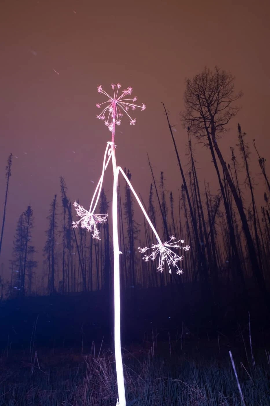 Vincent Karcher - Photo 5