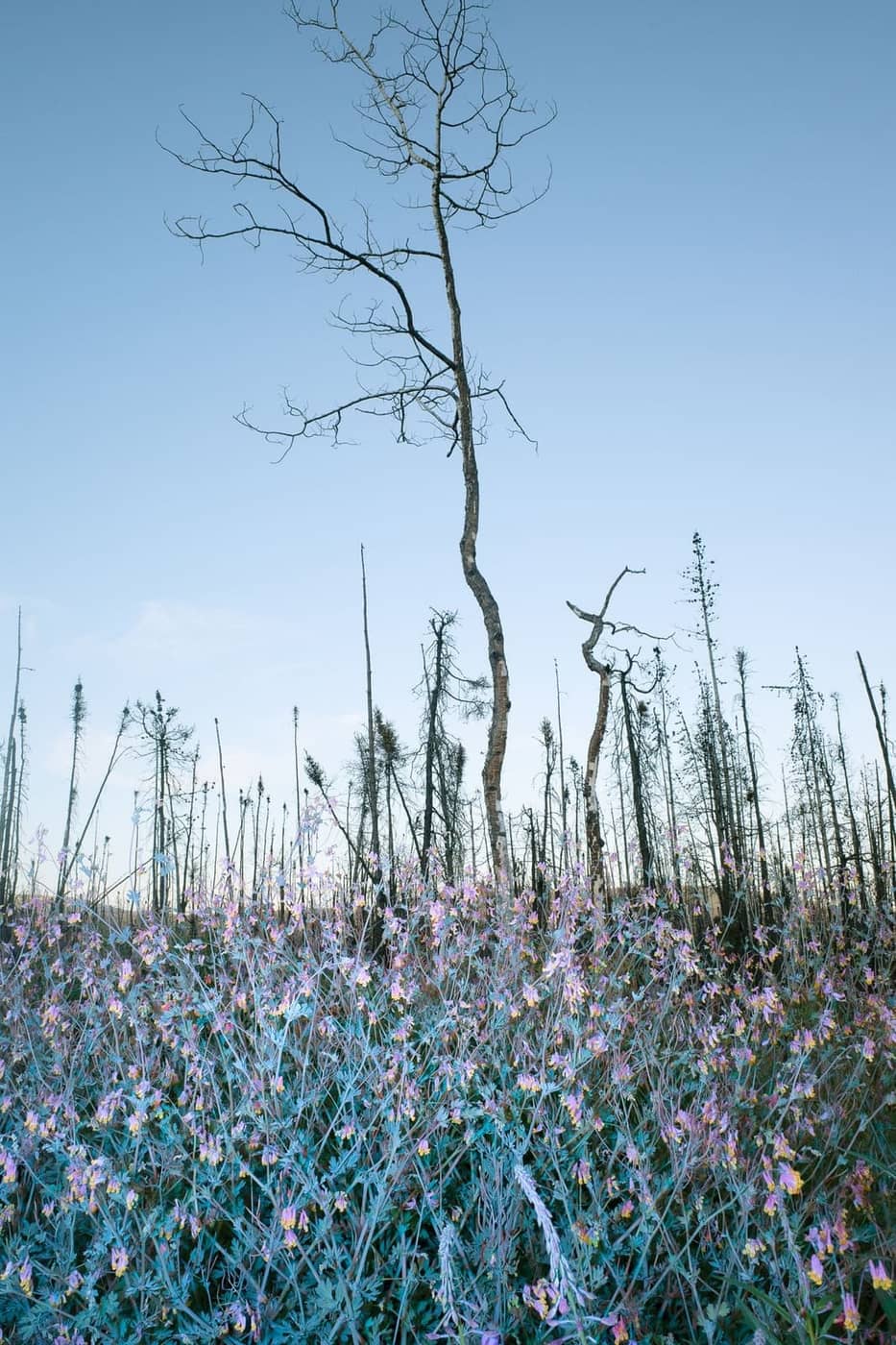 Vincent Karcher - Photo 6