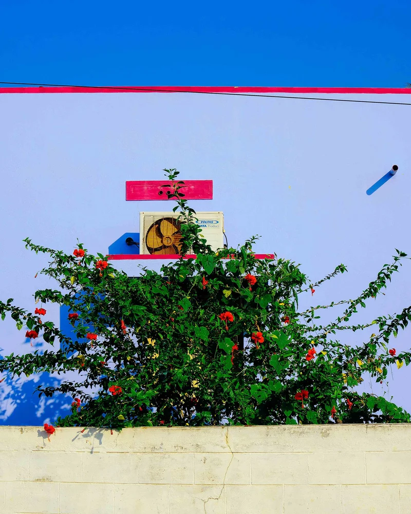 Vivek Mariappan - Photo 1