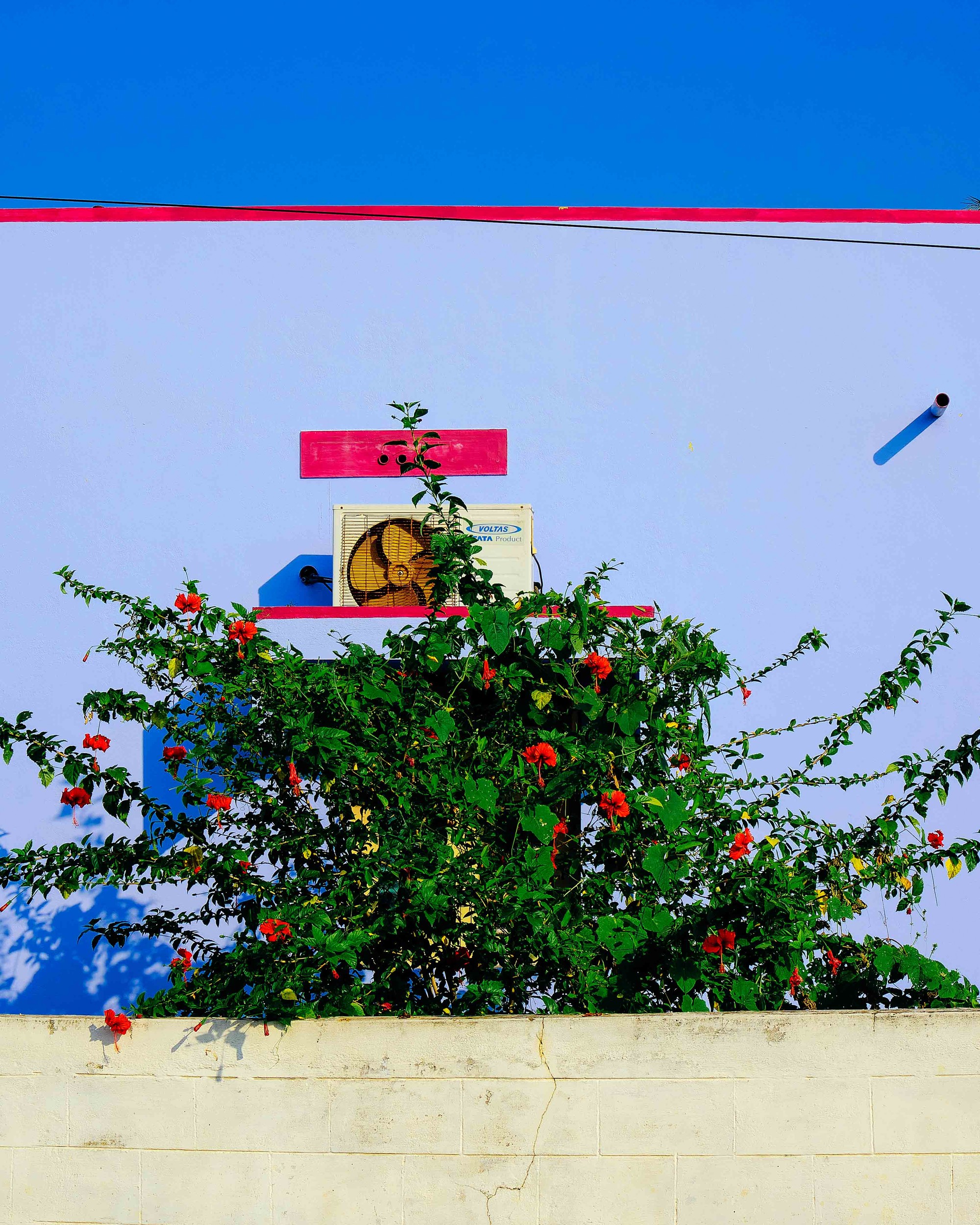 Vivek Mariappan - Photo 1