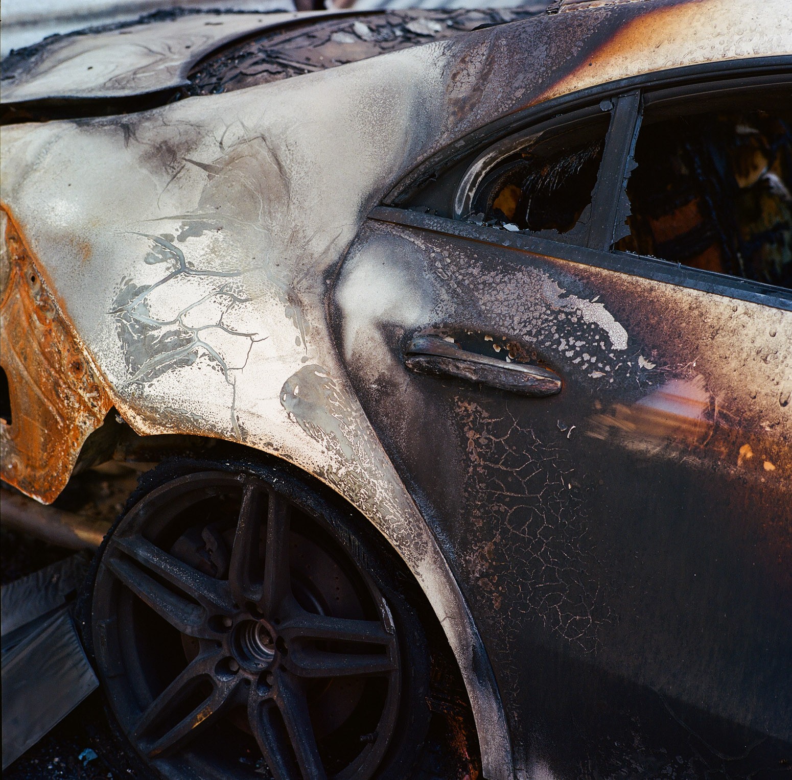 Yonatan Nevo - Photo 4