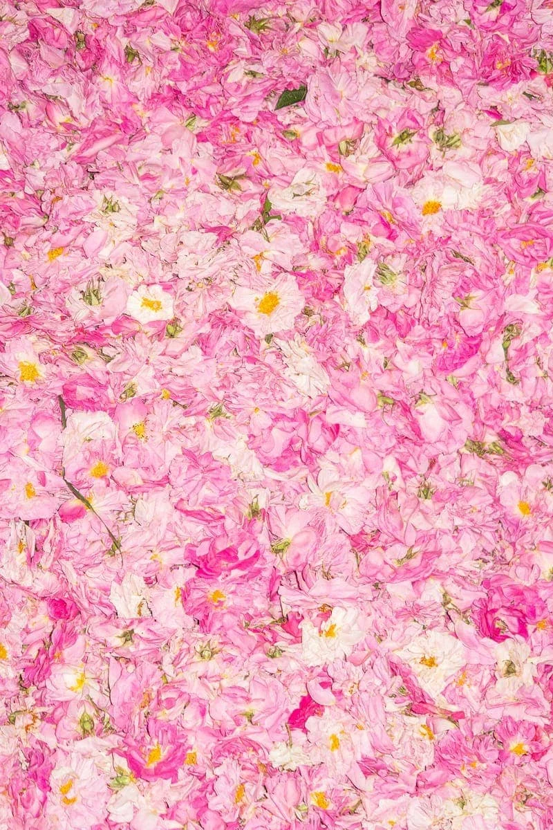 Yusif Zadeh - Photo 1