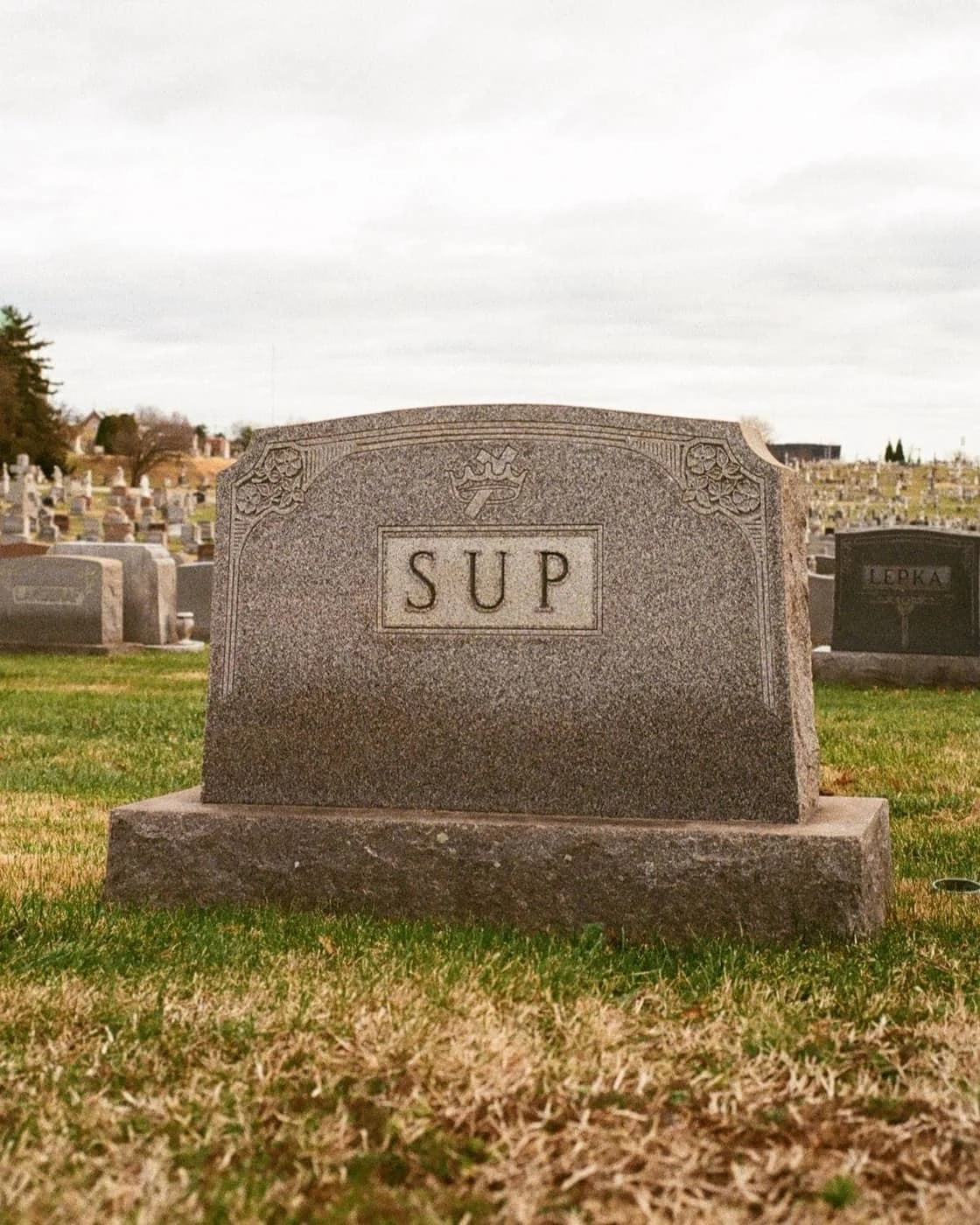 Zack Pohuski - Photo 5